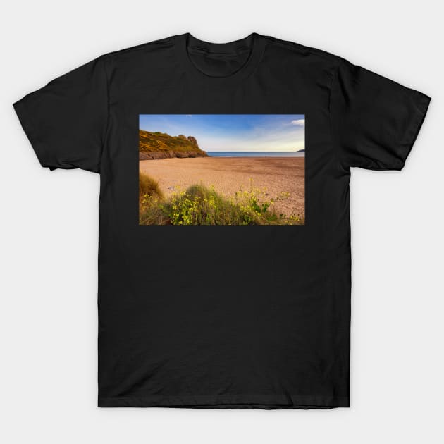 Tor Bay and Great Tor, Gower T-Shirt by dasantillo